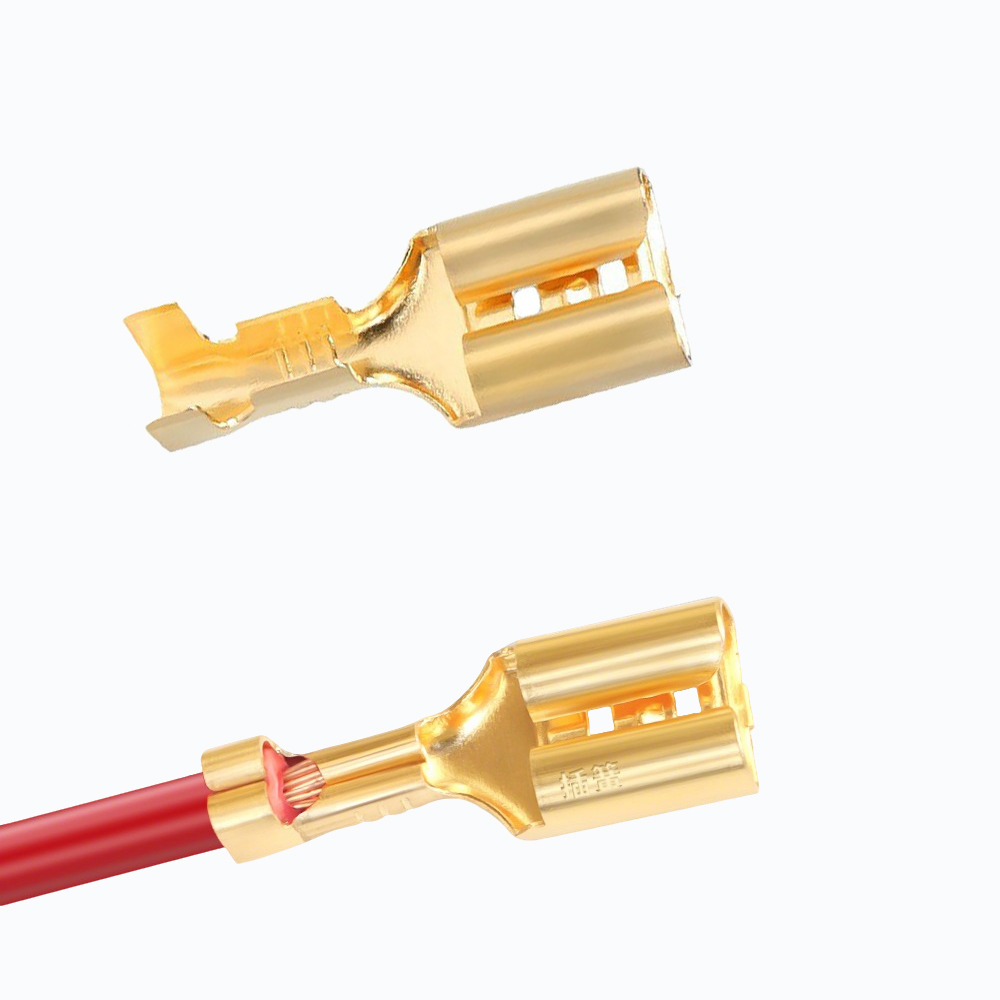 10/50/100 Conjuntos de Termina - Push Fit Connector reseña y precio